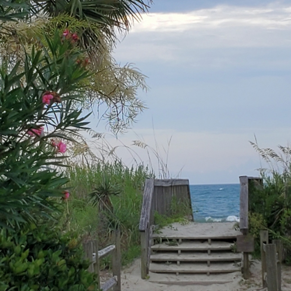 Meet Your Posher💕